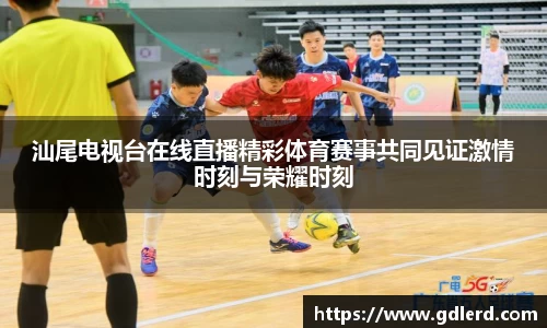 汕尾电视台在线直播精彩体育赛事共同见证激情时刻与荣耀时刻